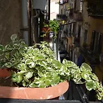 Futtitinni Home Casamia
